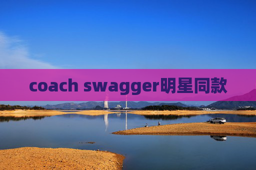coach swagger明星同款